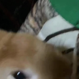 新しいバイトの画像