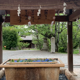 KIN62   白い風　赤い空歩く人　音10の画像