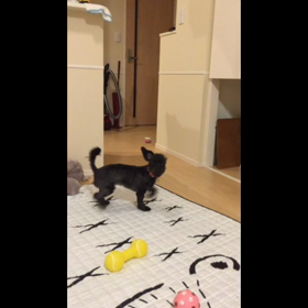 【真夜中】更新♪数時間前。。。の画像