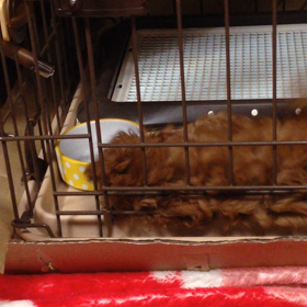 自分遊び♪の画像