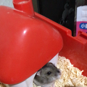 お盆も過ぎて、、の画像