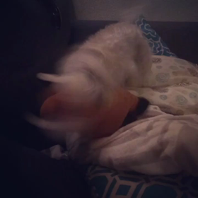 long day!!!の画像