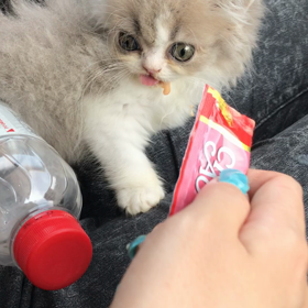 レスキューの画像