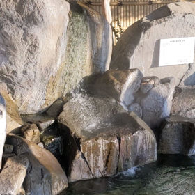 本日の呟き (387)の画像