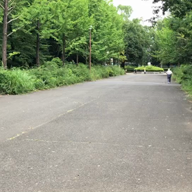 100m記録会 Aグループ①の画像