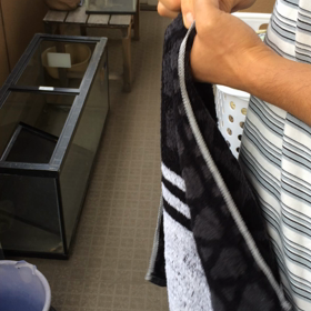 家事は最高のリハビリ【洗濯編】（タオルを干す）の画像