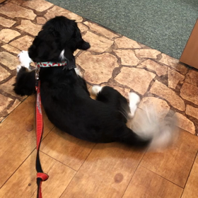 ■先生に会うのが大好き■の画像