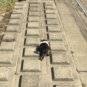 また相模原？の画像