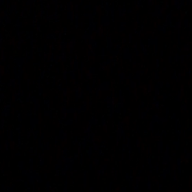 ババア On Stage(⌒-⌒; )の画像