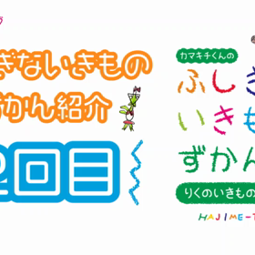 ふしぎないきものずかん紹介2回目の画像
