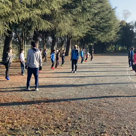 バランス⑤の画像