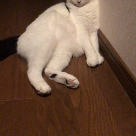 反省とかしてないけどね…の画像