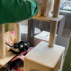 それぞれの心持ちの画像