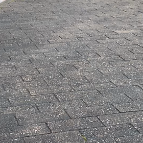 トコトコの画像