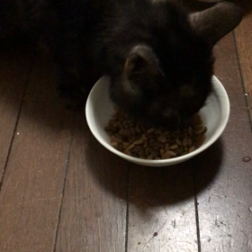 ダディくんの画像