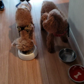 続きだよの画像