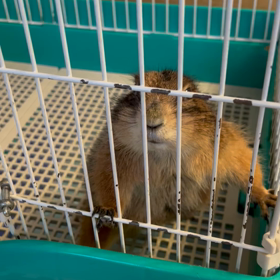 みんな元気ですの画像