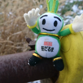 12/28の画像