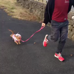 この時代にあの音楽の画像