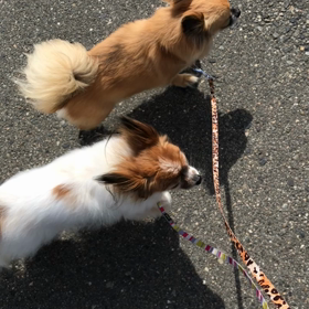 やっと晴れた！！の画像