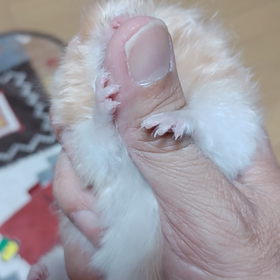 スイッチの画像