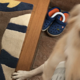 新聞配達の画像