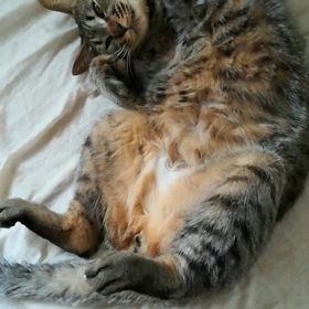 リクって意外と動画KING？ そして、季節に負けた気がする50の夏。の画像