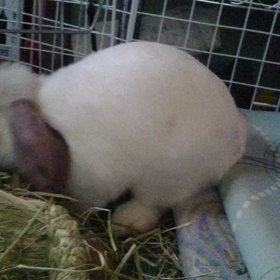 動画とってみた7の画像