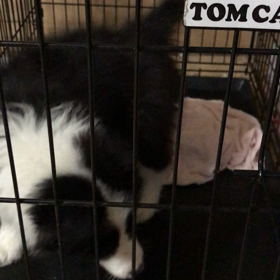 北海道 お問合せの画像