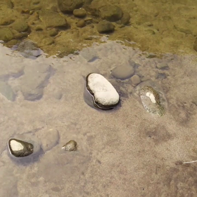 9/11 ダム、リザーバーでバス釣りの画像