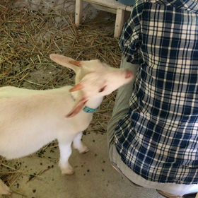 猪名川農業女子PJの画像