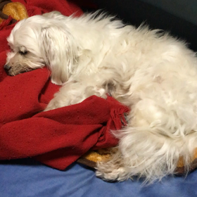 落ち着いていますの画像