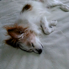 美玲ちゃんが絶不調・・・の画像