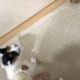 まなちゃん退院の画像