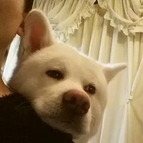 枝豆ちょうだい攻撃♪の画像