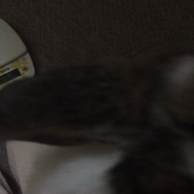 姫の情緒不安定 続きの画像