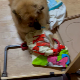 ガルルルちゃんの画像