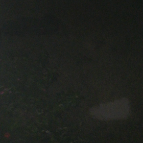 決して1人では見ないで下さい2( 恐怖映像)の画像