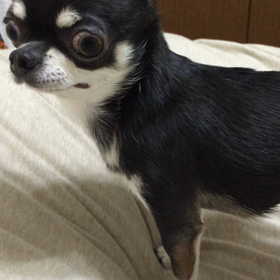 掘ってます、その2の画像