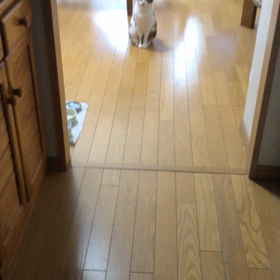 仕事やジムを休みたく無い。可愛いデール！の画像