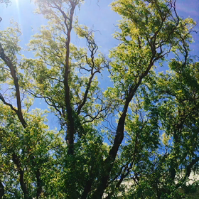 おはようございますっの画像