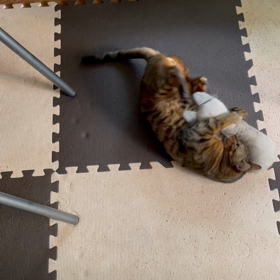 遊んでますの画像