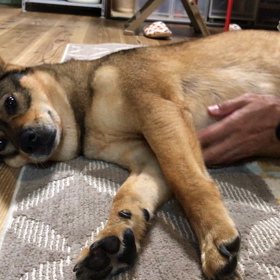 ちょっと前の画像