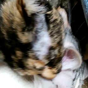 ええ感じ～の画像