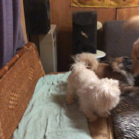 今朝の  我が家の画像