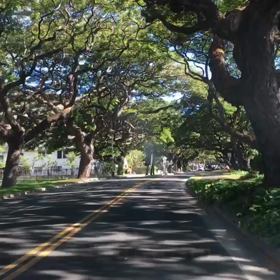 【パキアベニュー】カピオラニ公園の横の道路。木のトンネルからダイヤモンドヘッドが見える♪の画像