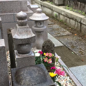 魯遊の遺志ついに。の画像