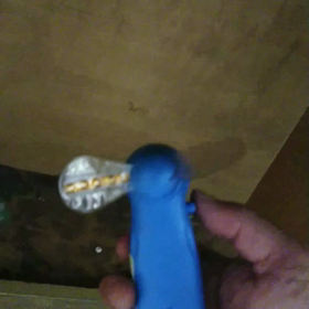 ファン･ミニの画像