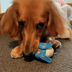 マーチのペースで…♪の画像