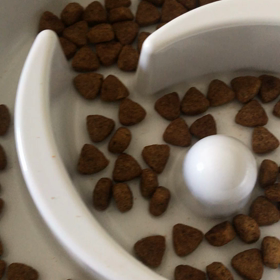 エディの匂いの画像